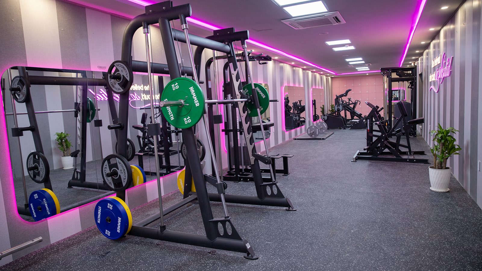 Khu vực tập tạ tại GirlFit